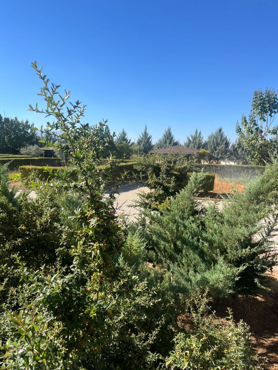 İbrahim Yücel Kolejinde Doğa ile İç İçe Bir Günden...